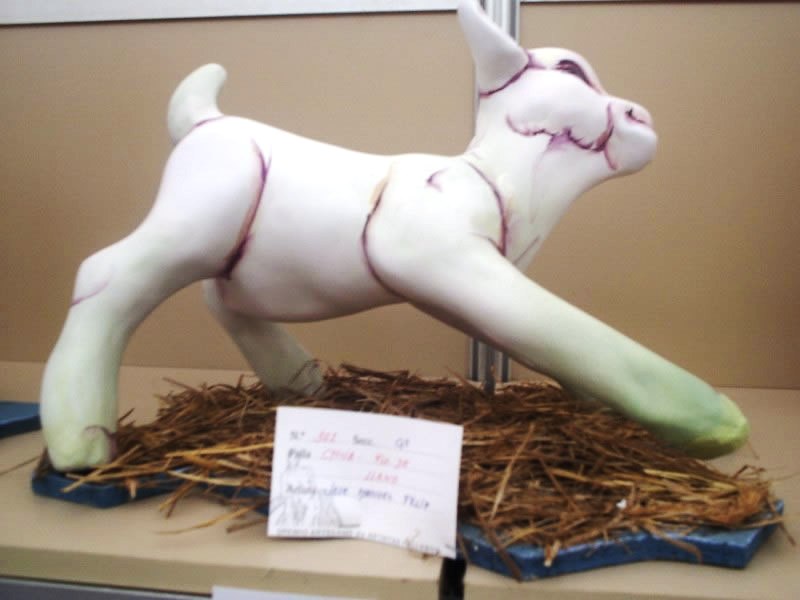 Totfalles: Chiva-Francisco de Llano